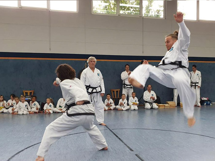 Taekwon-Do Schule Rieden Fehrer System Gesundheit Fitness Selbstverteidigung